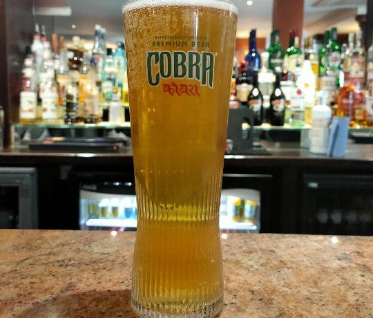 Traditional Indian Food and Drinks at Sanam Tandoori Pint of Cobra sitting on a bar